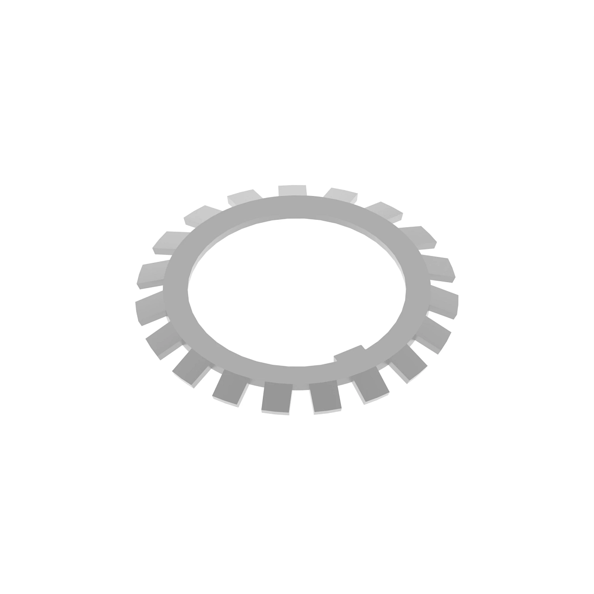 Lock Washer