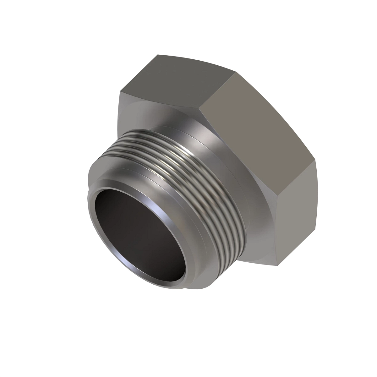 Fitting Plug