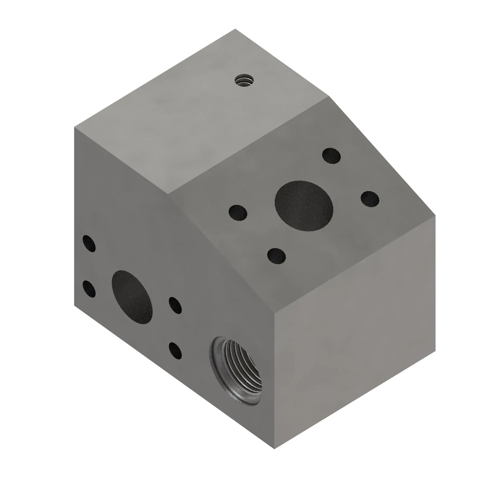 Manifold