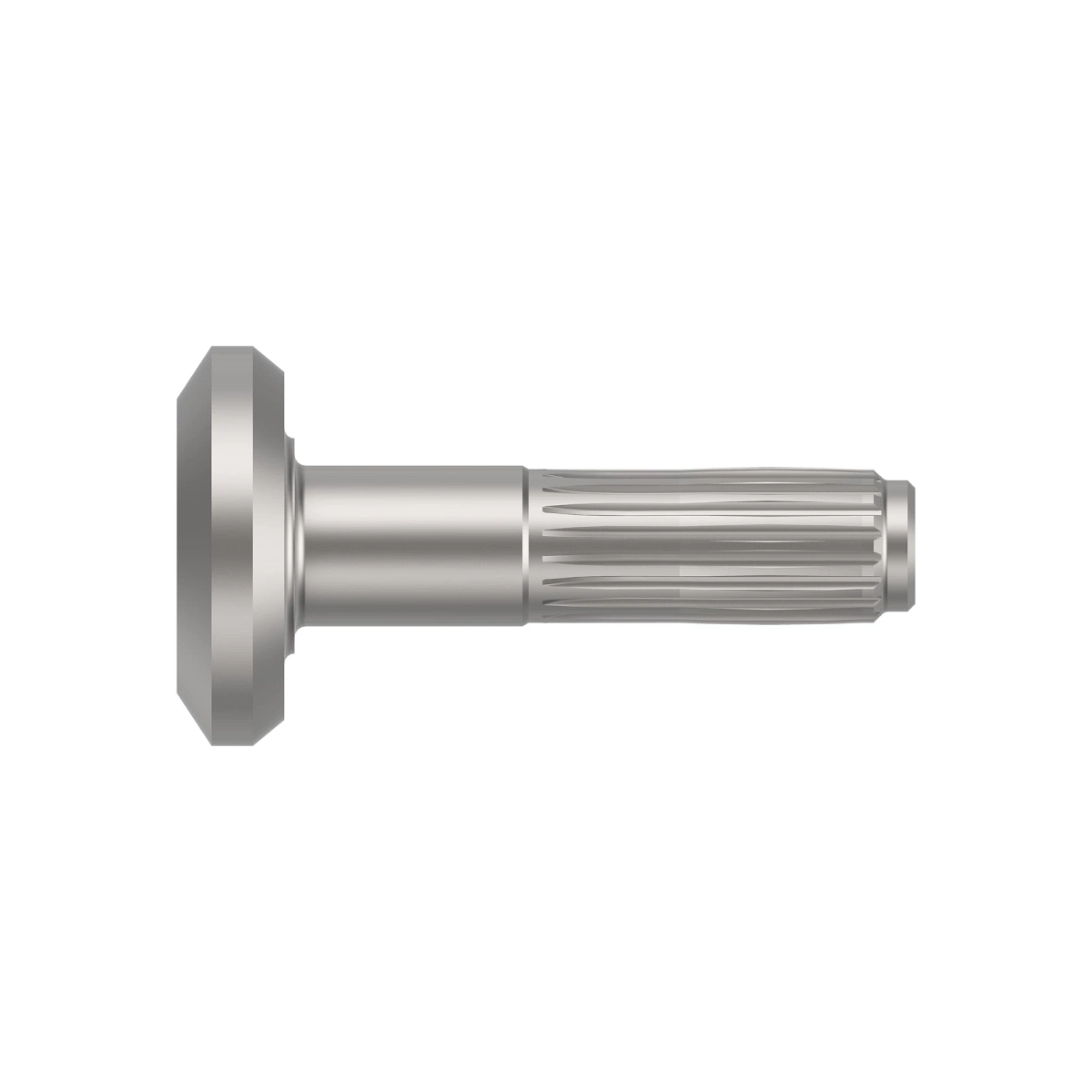 Bevel Gear Drive