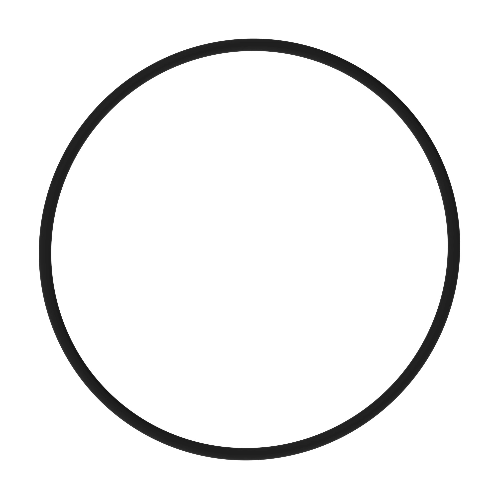 O-RING