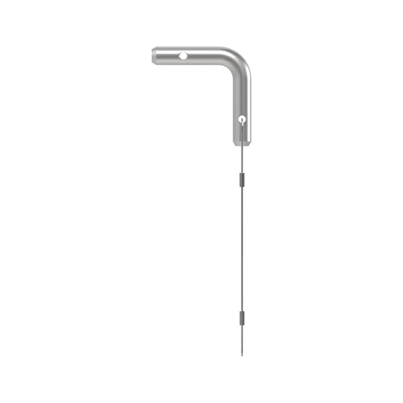Pin