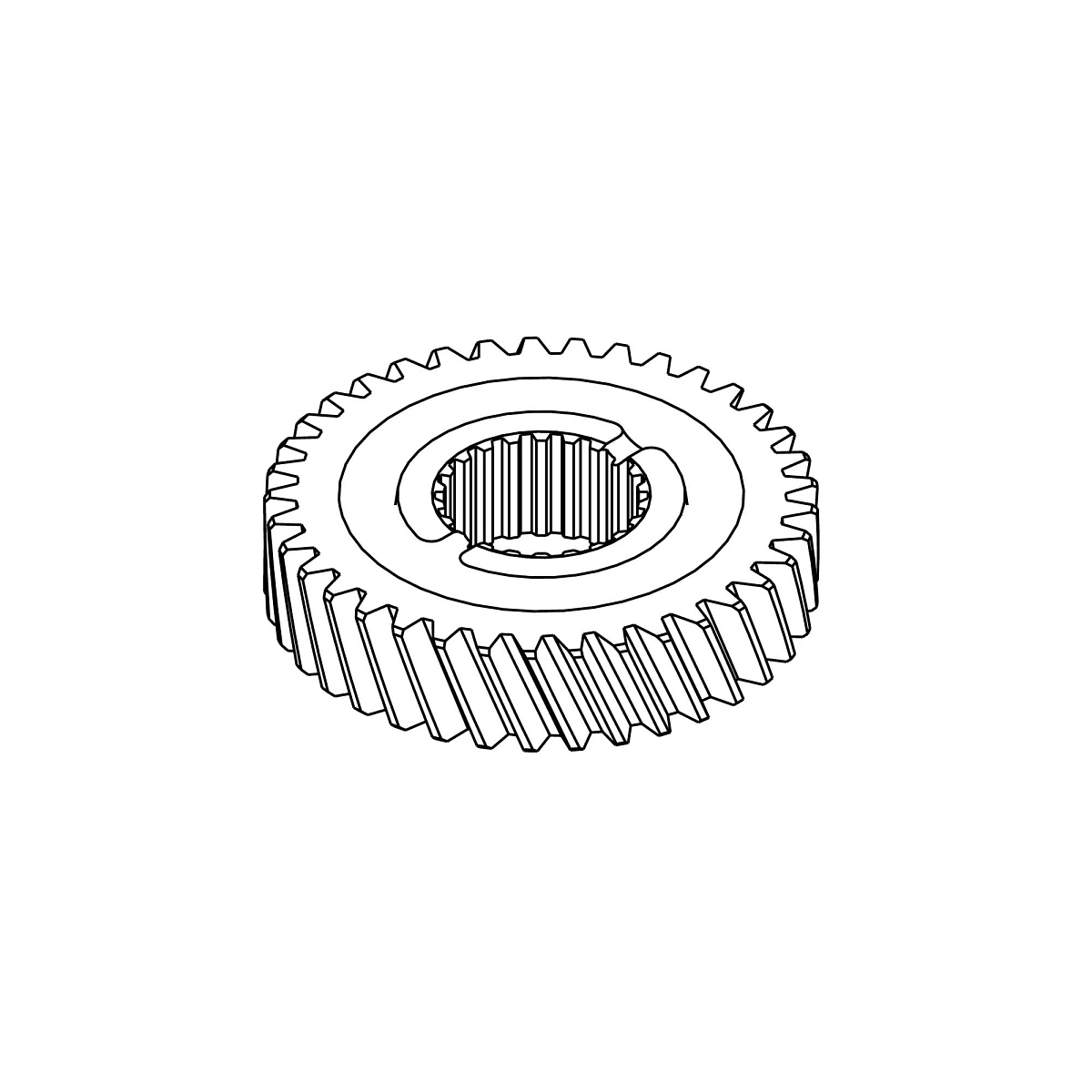 Bevel Gear