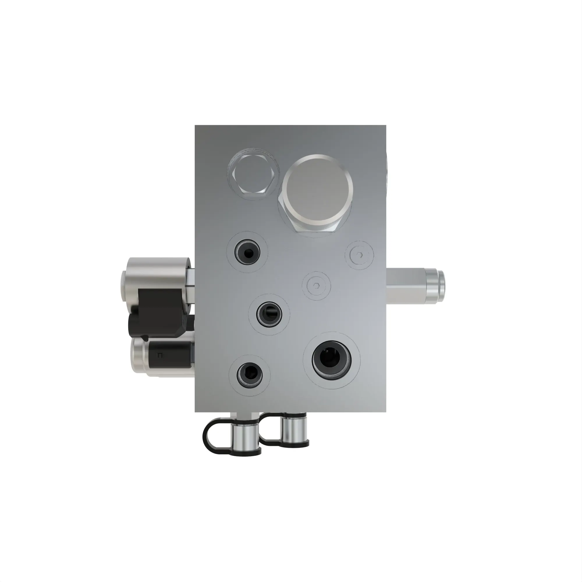 manifold