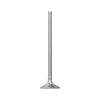 EXHAUST VALVE, (S350 FT4)