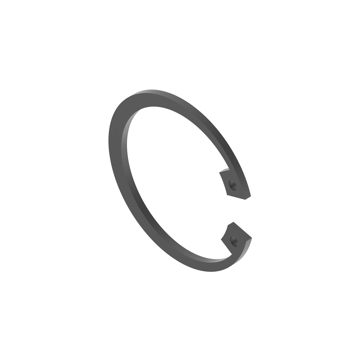 Ring, Internal Snap