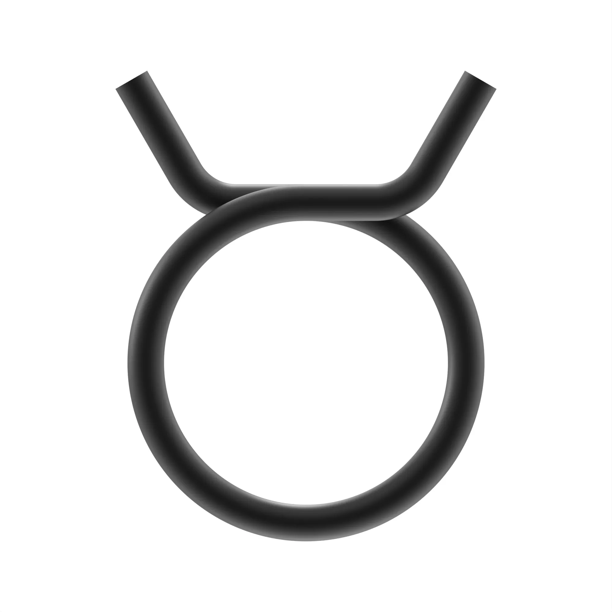 HOSE CLAMP