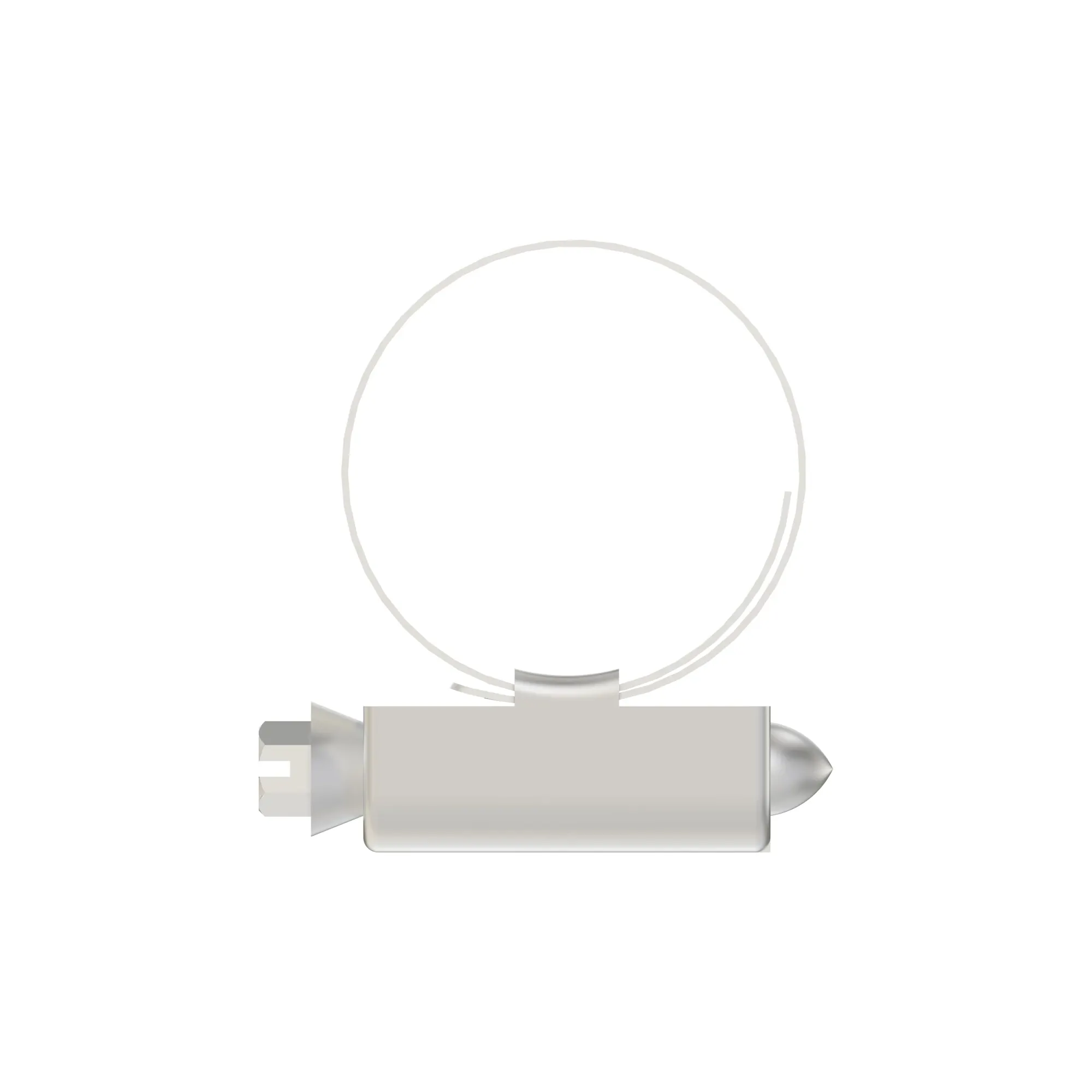 Hose Clamp
