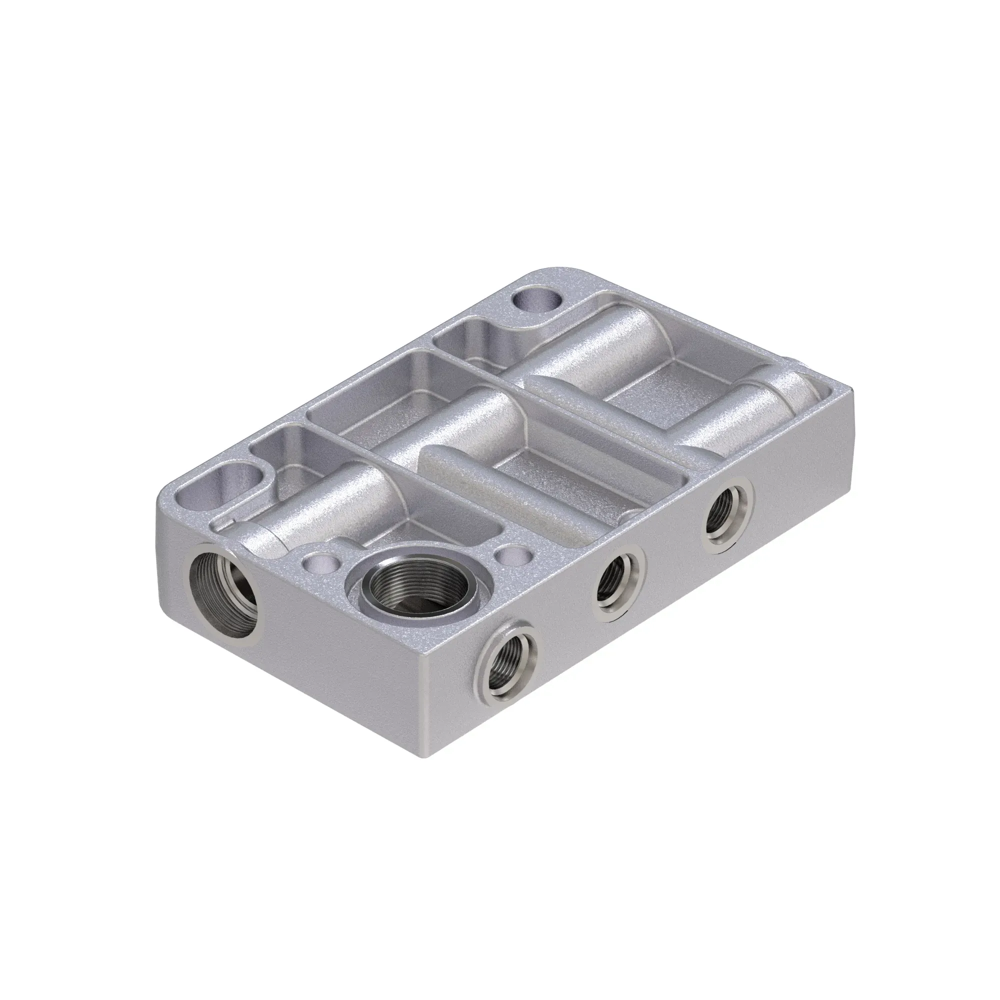 Manifold