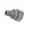Ferrule