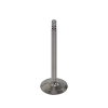 Intake Valve