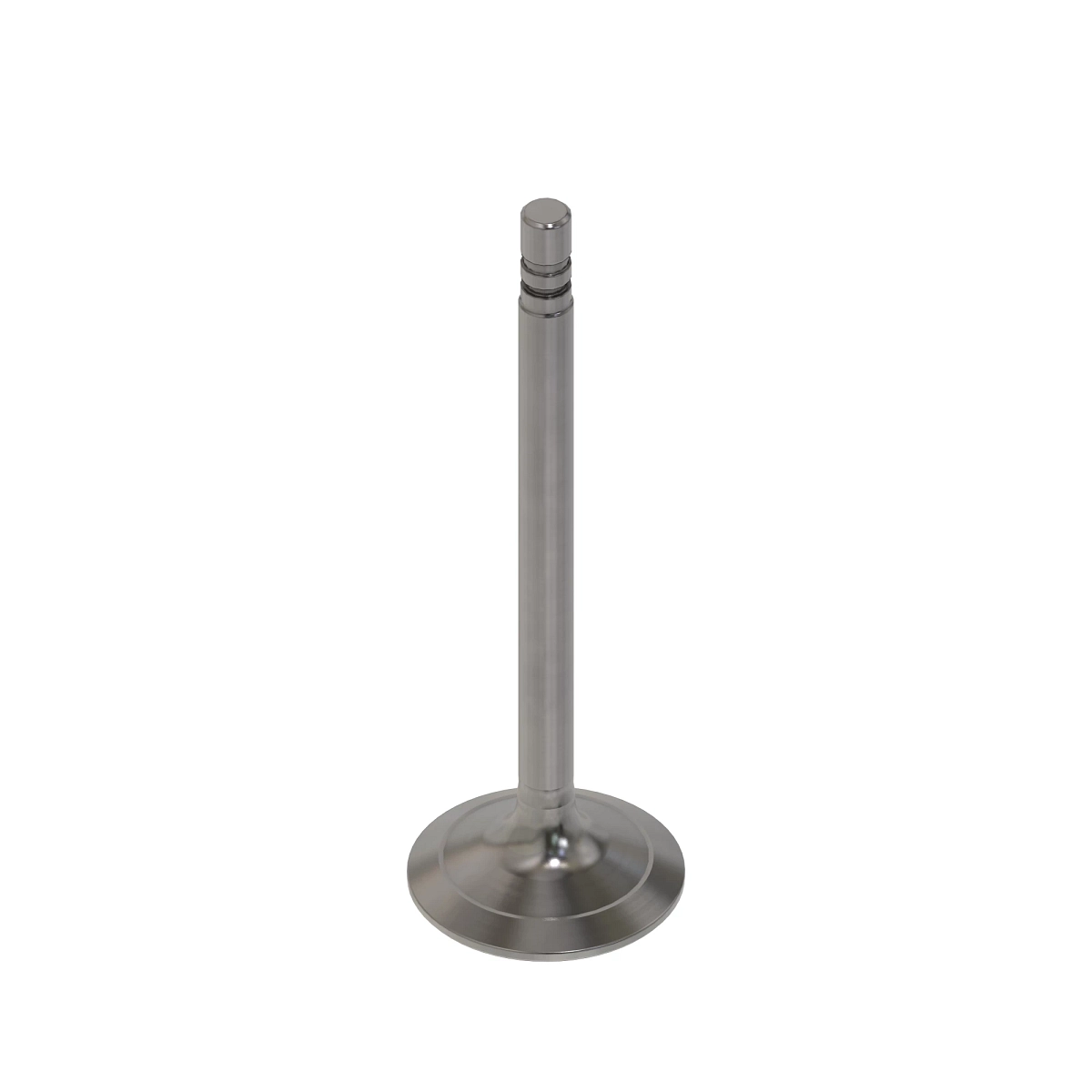 Intake Valve