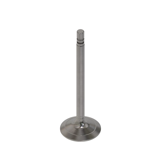 Intake Valve