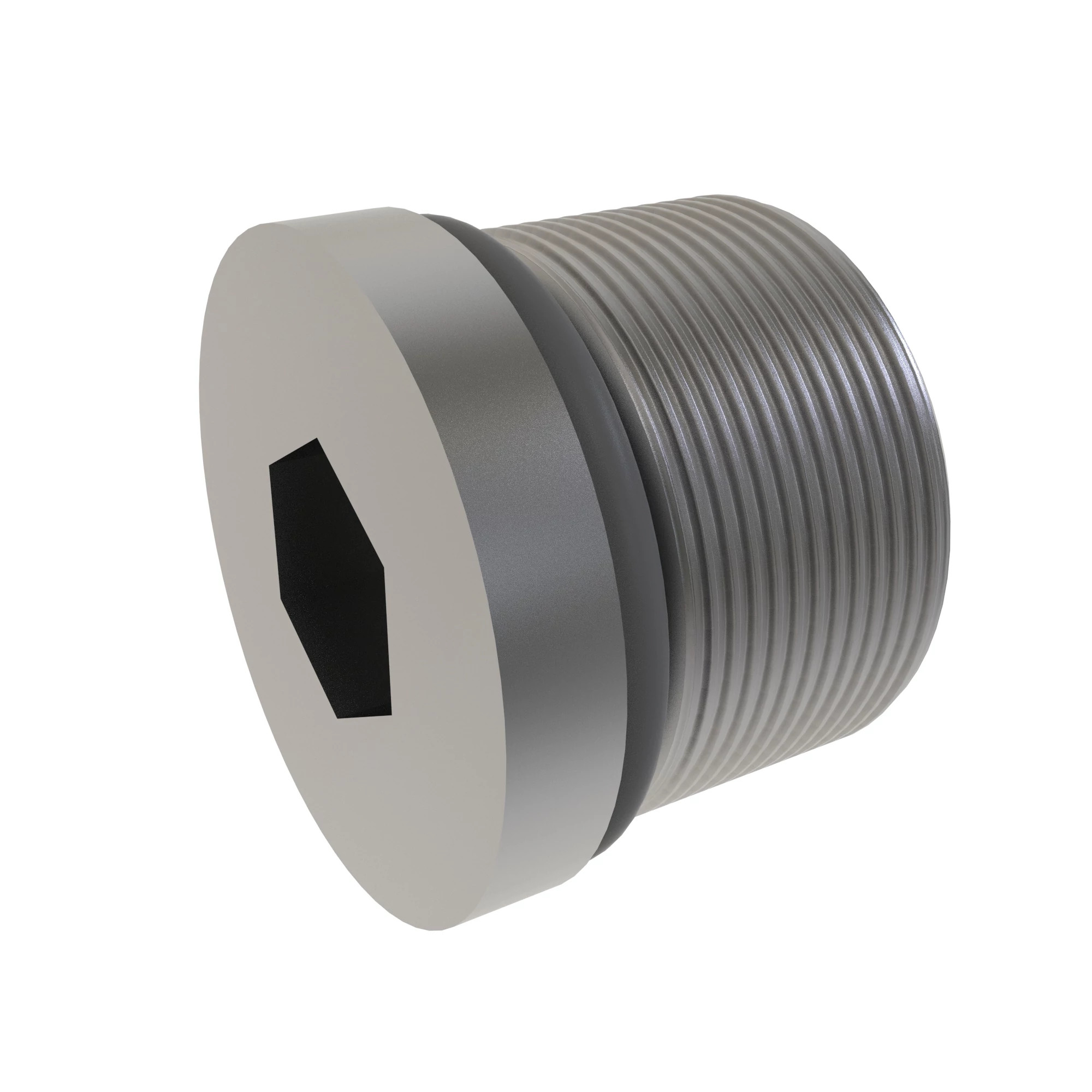 PORT PLUG (7/8 O-RING)