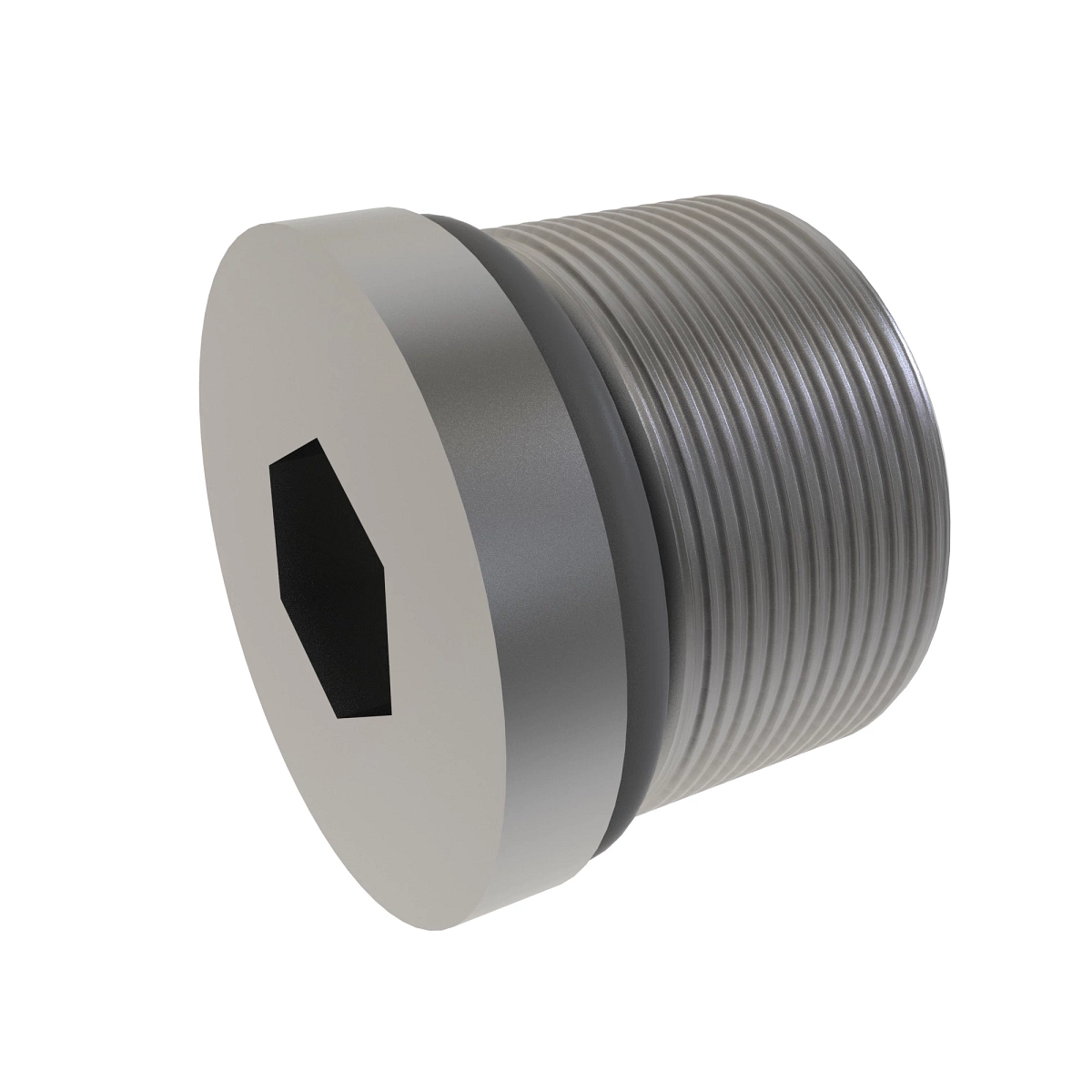 Port Plug (7/8 O-Ring)