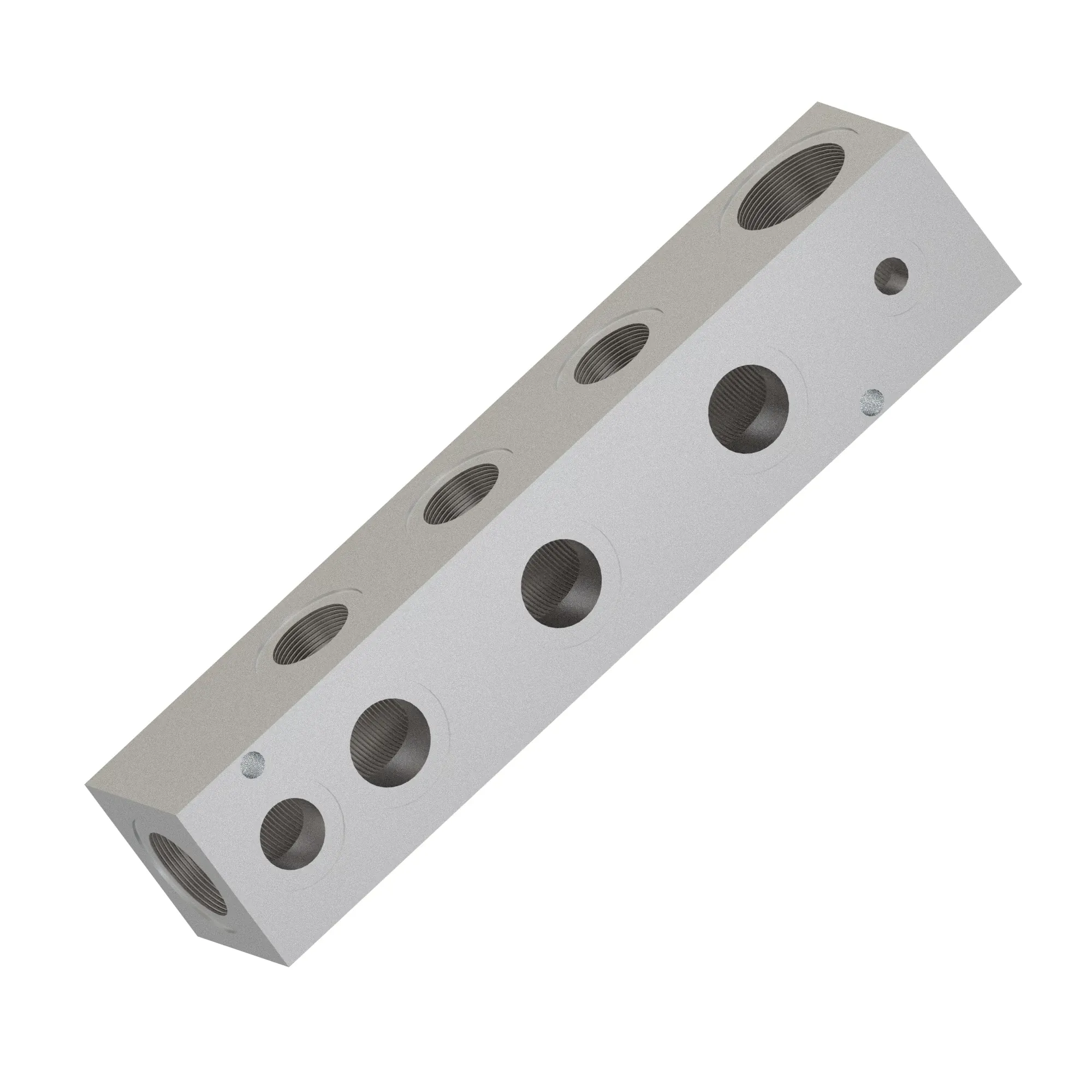 Manifold
