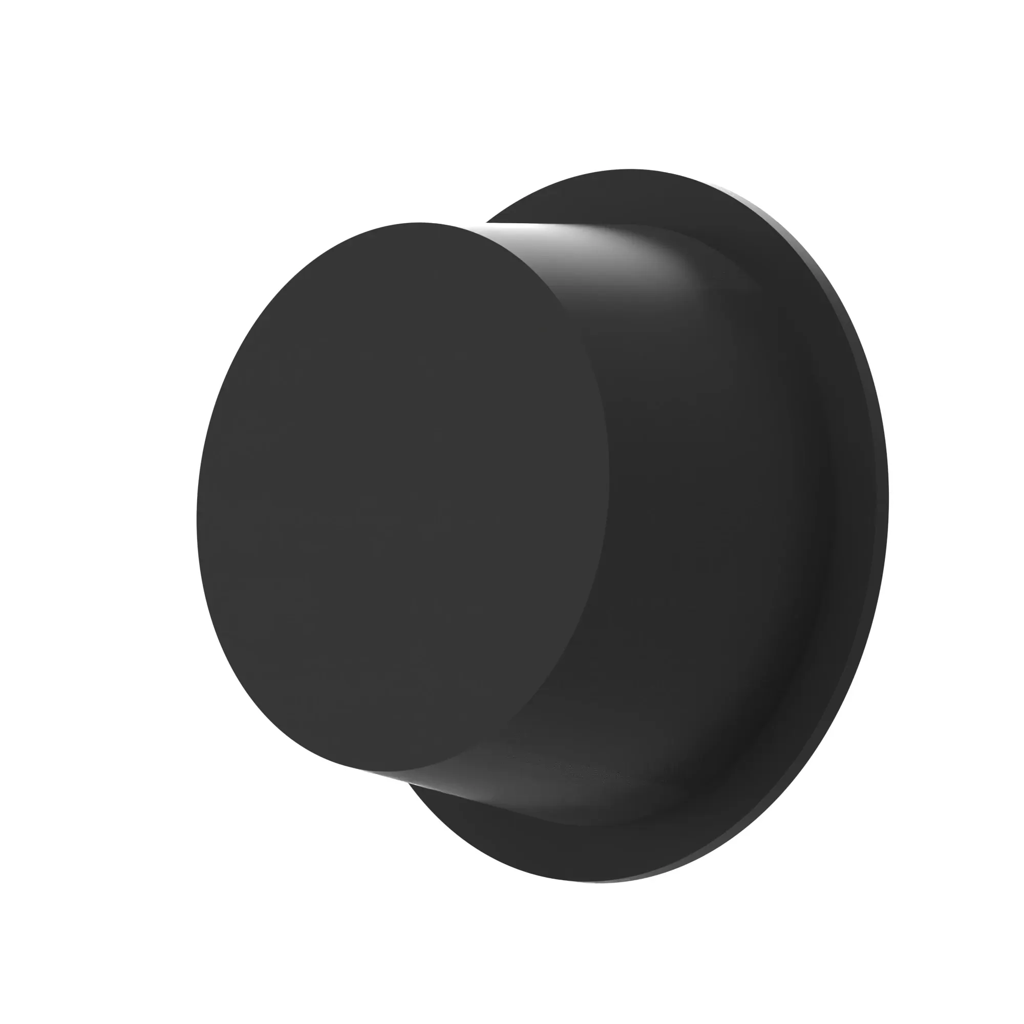 PLUG,CAP