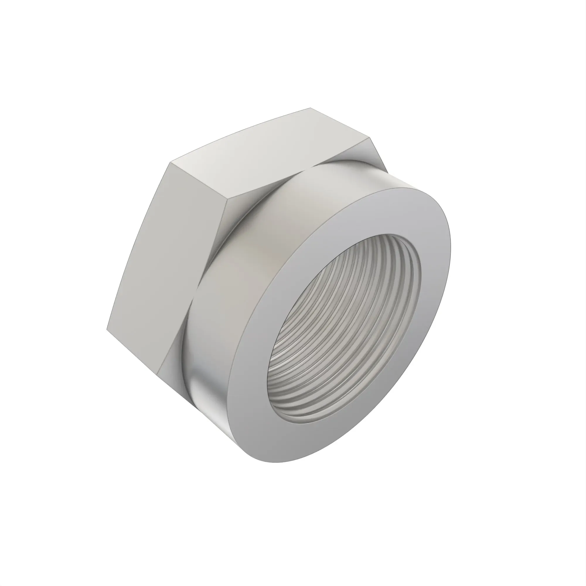 T27294: Hexagonal Prevailing Torque Nut, M50.8