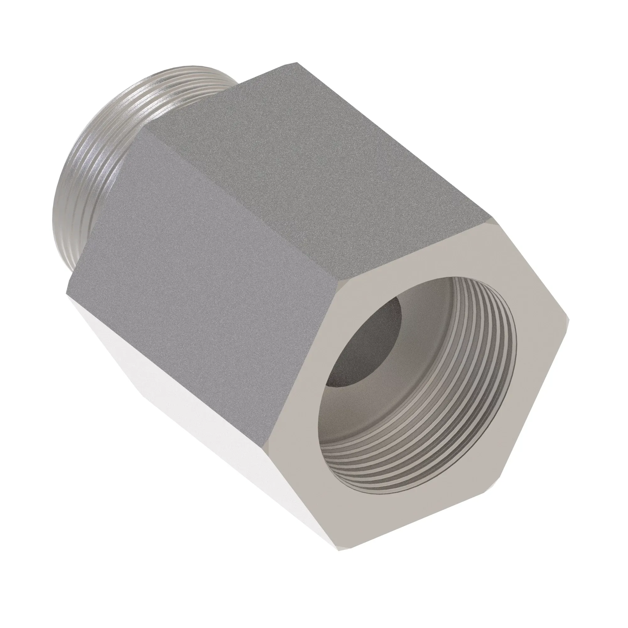Check Valve