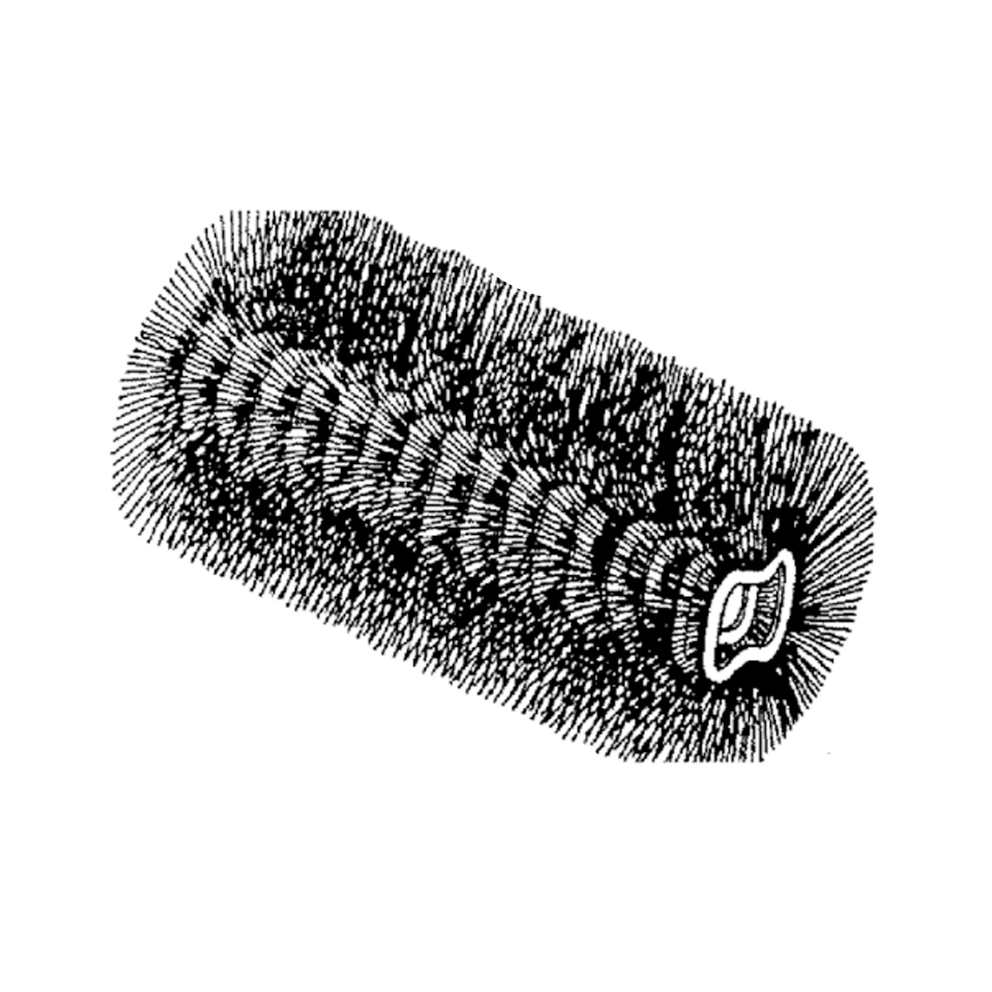 John Deere Rotary Broom Brush, (Package of 24) - AUC21402