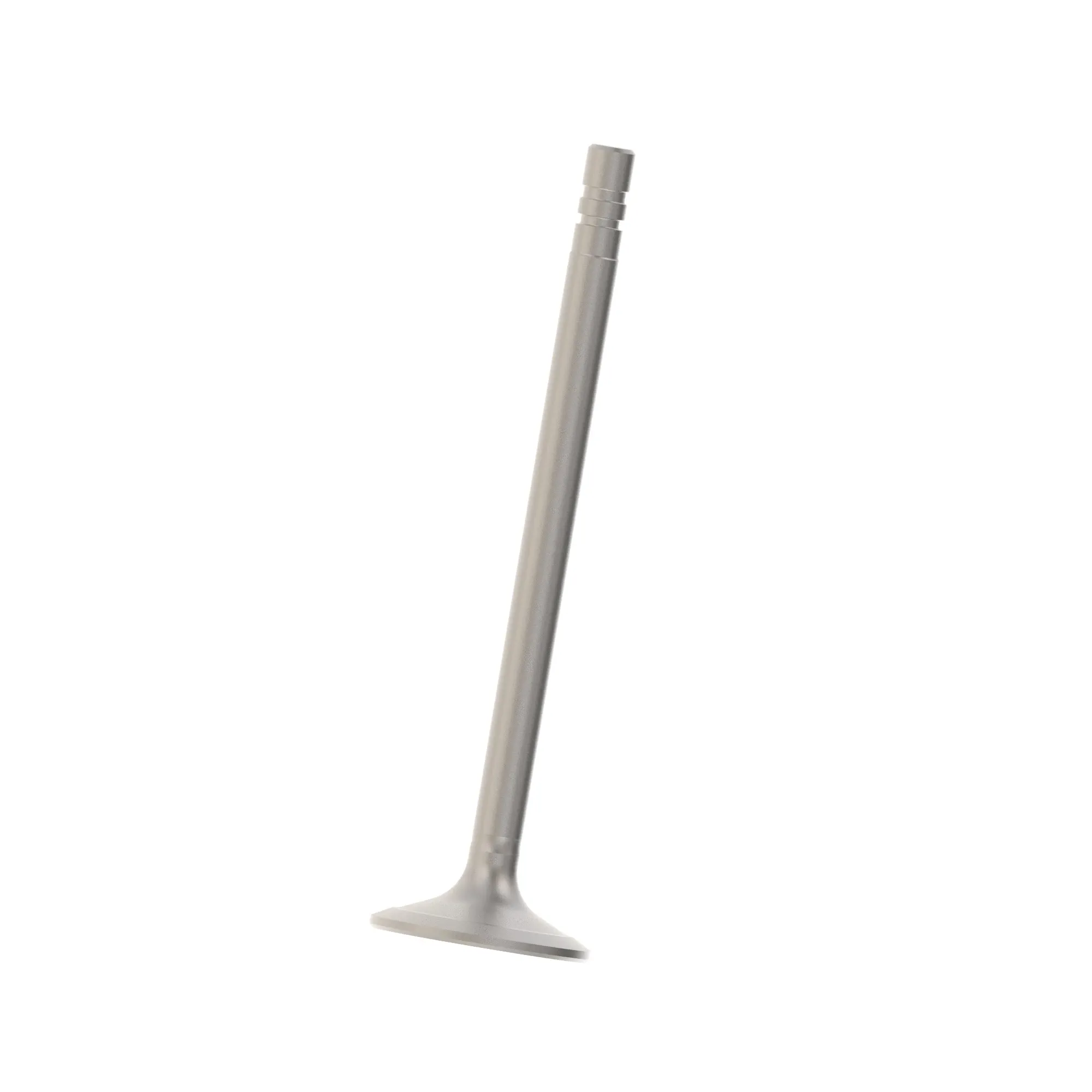 Intake Valve