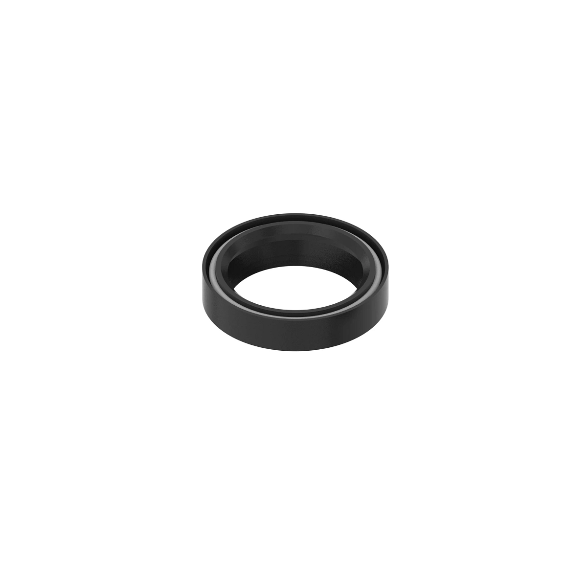 Lip Seal