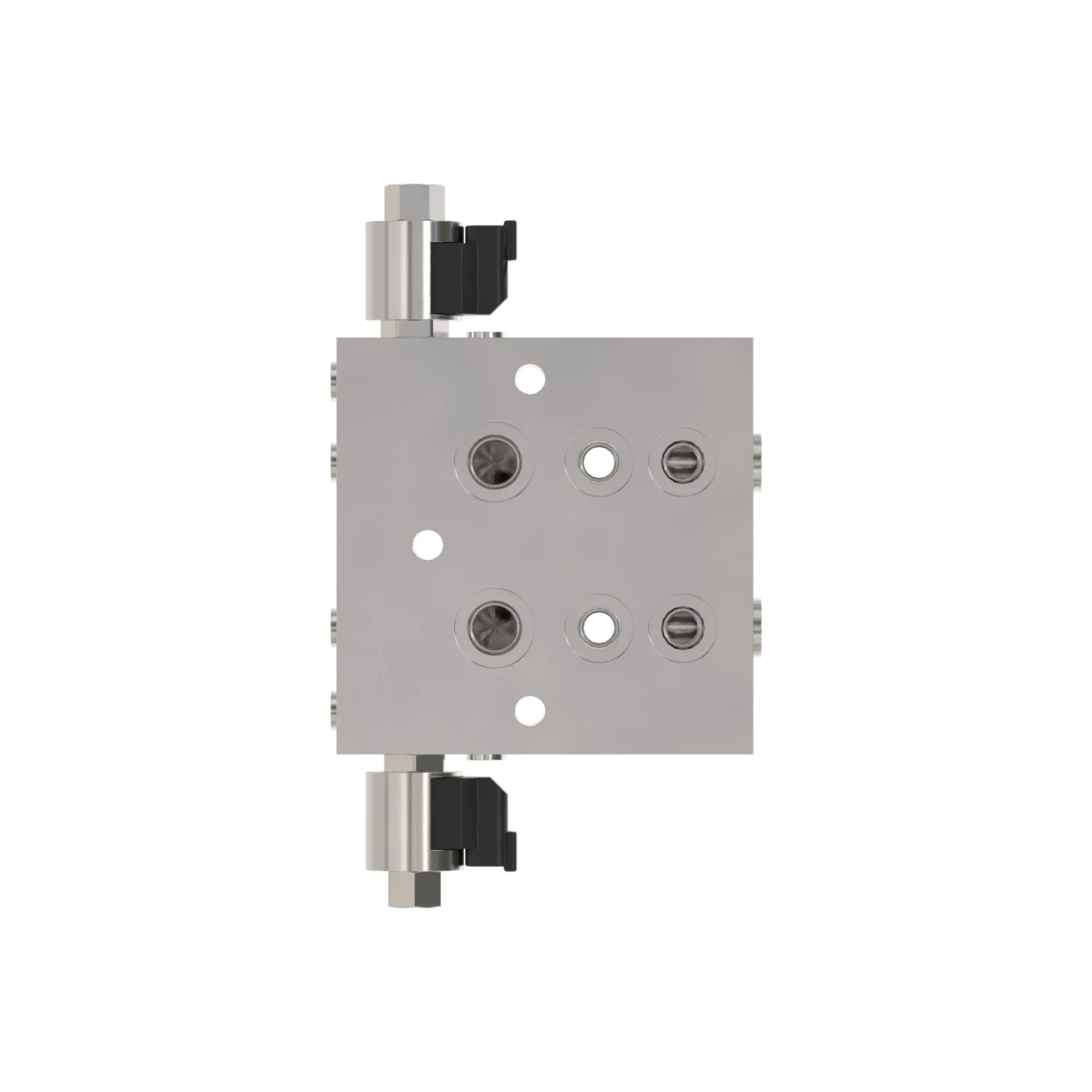 Manifold