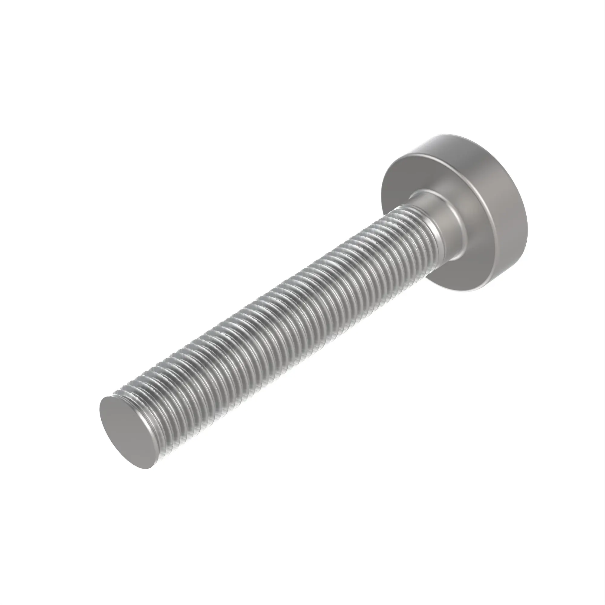Screw