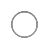 Piston Ring