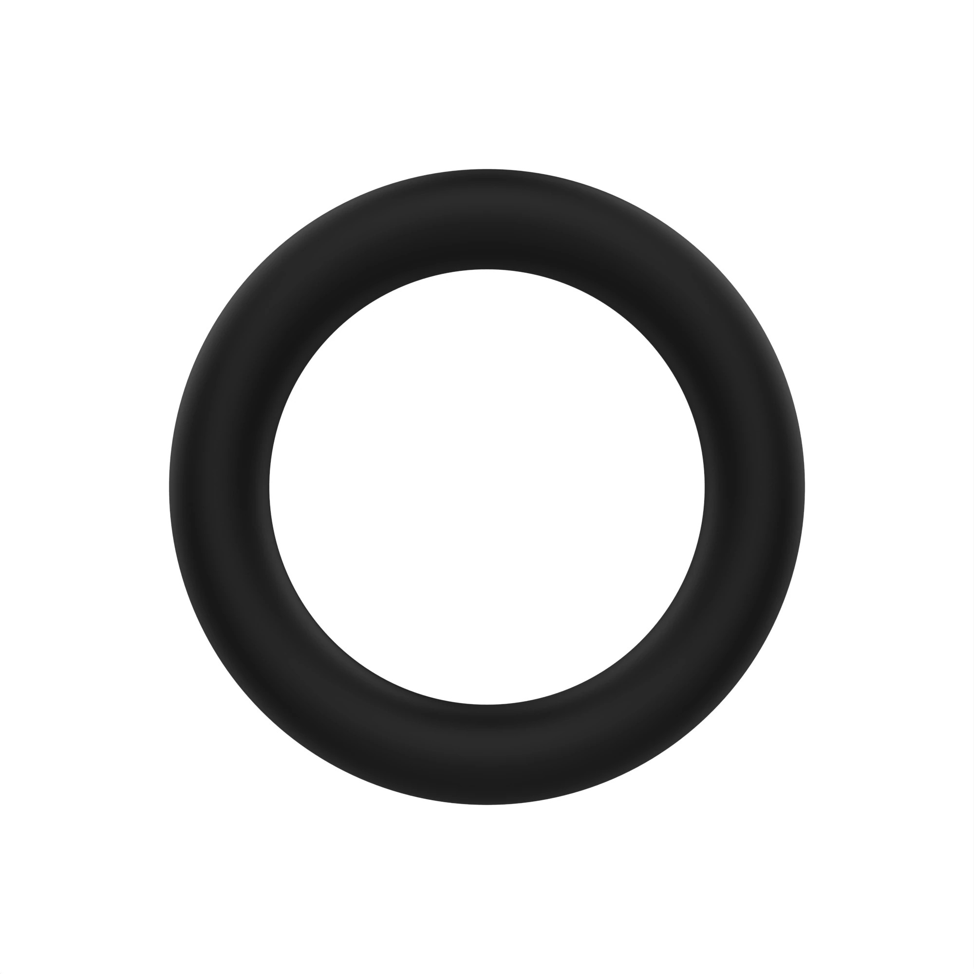 O-Ring