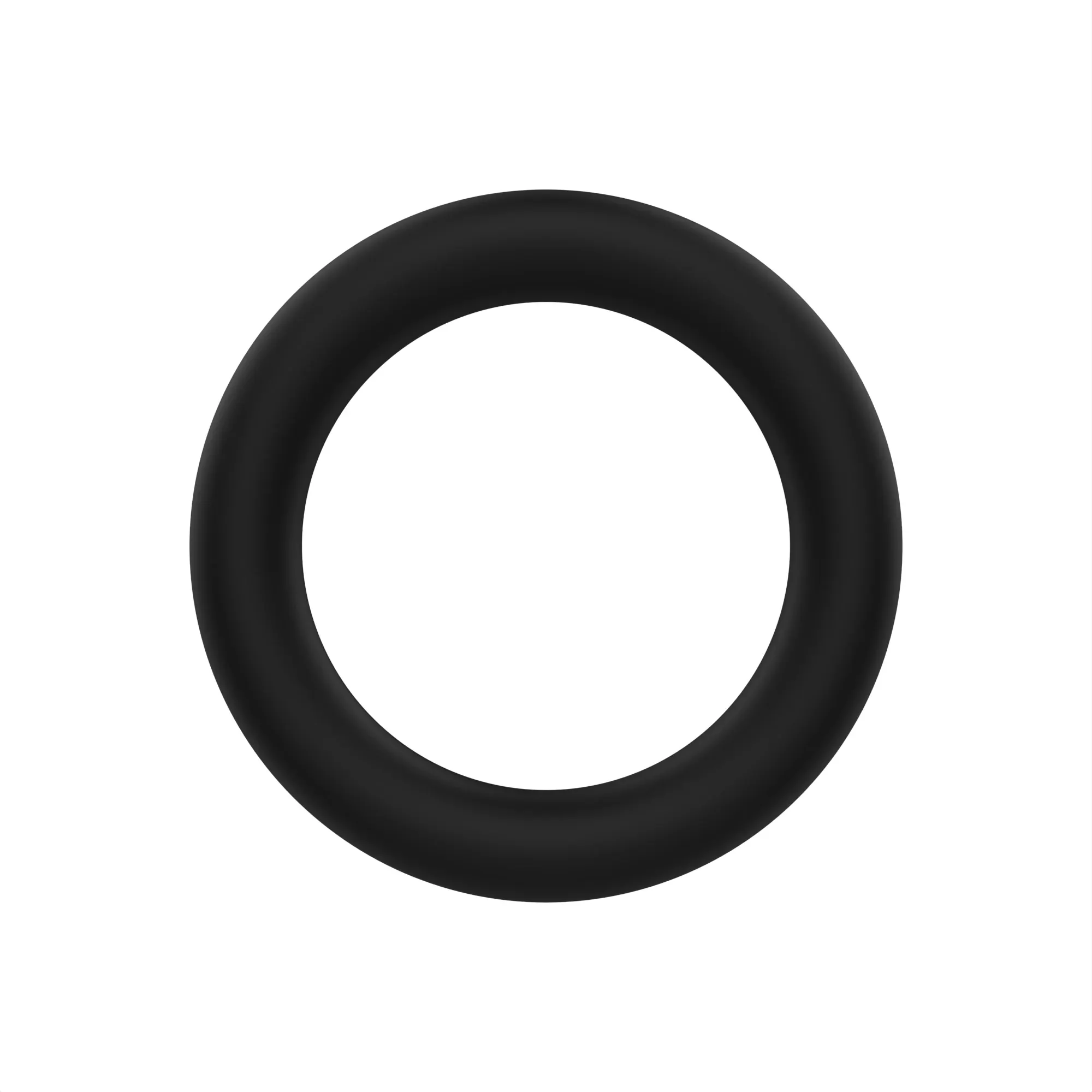 O-Ring