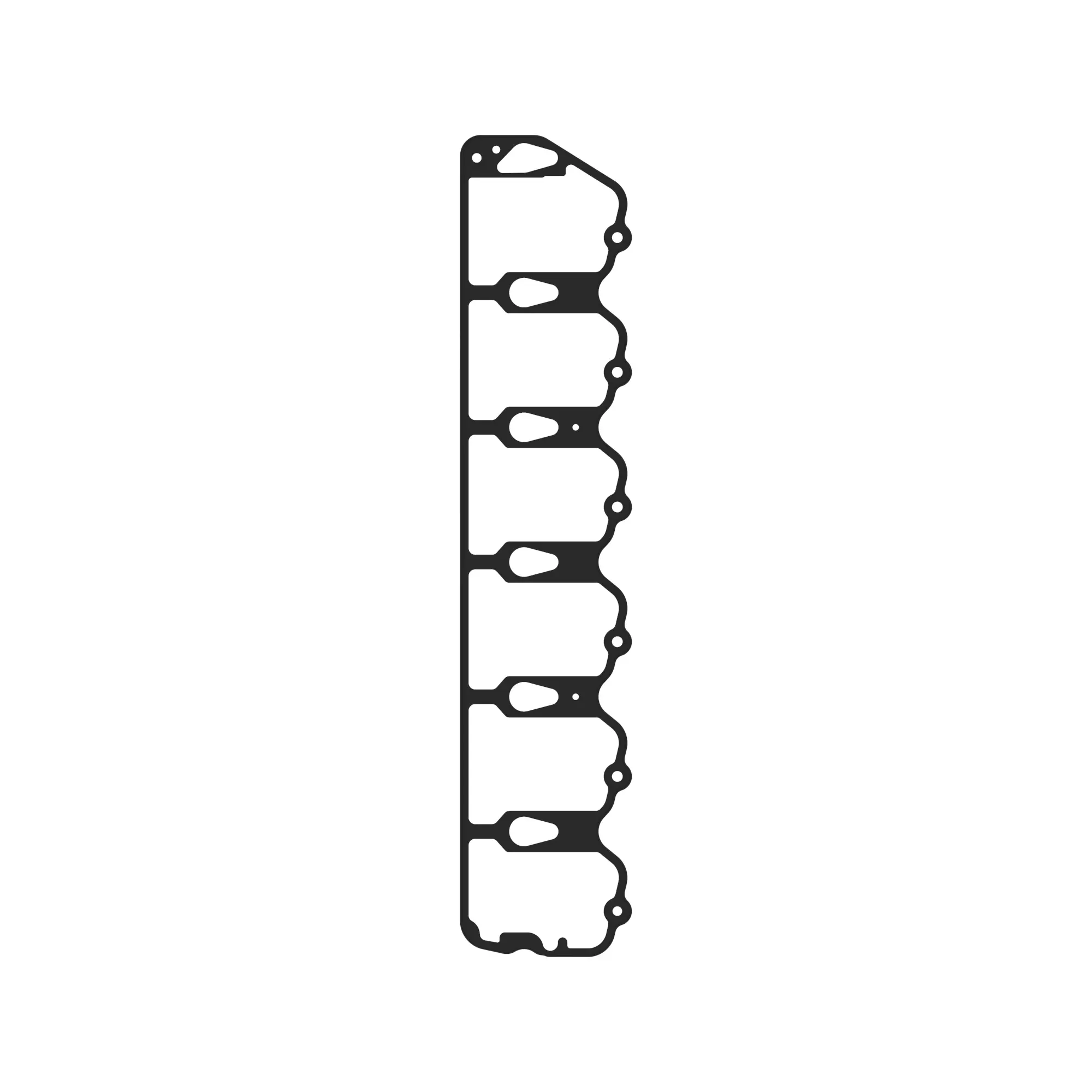 Gasket
