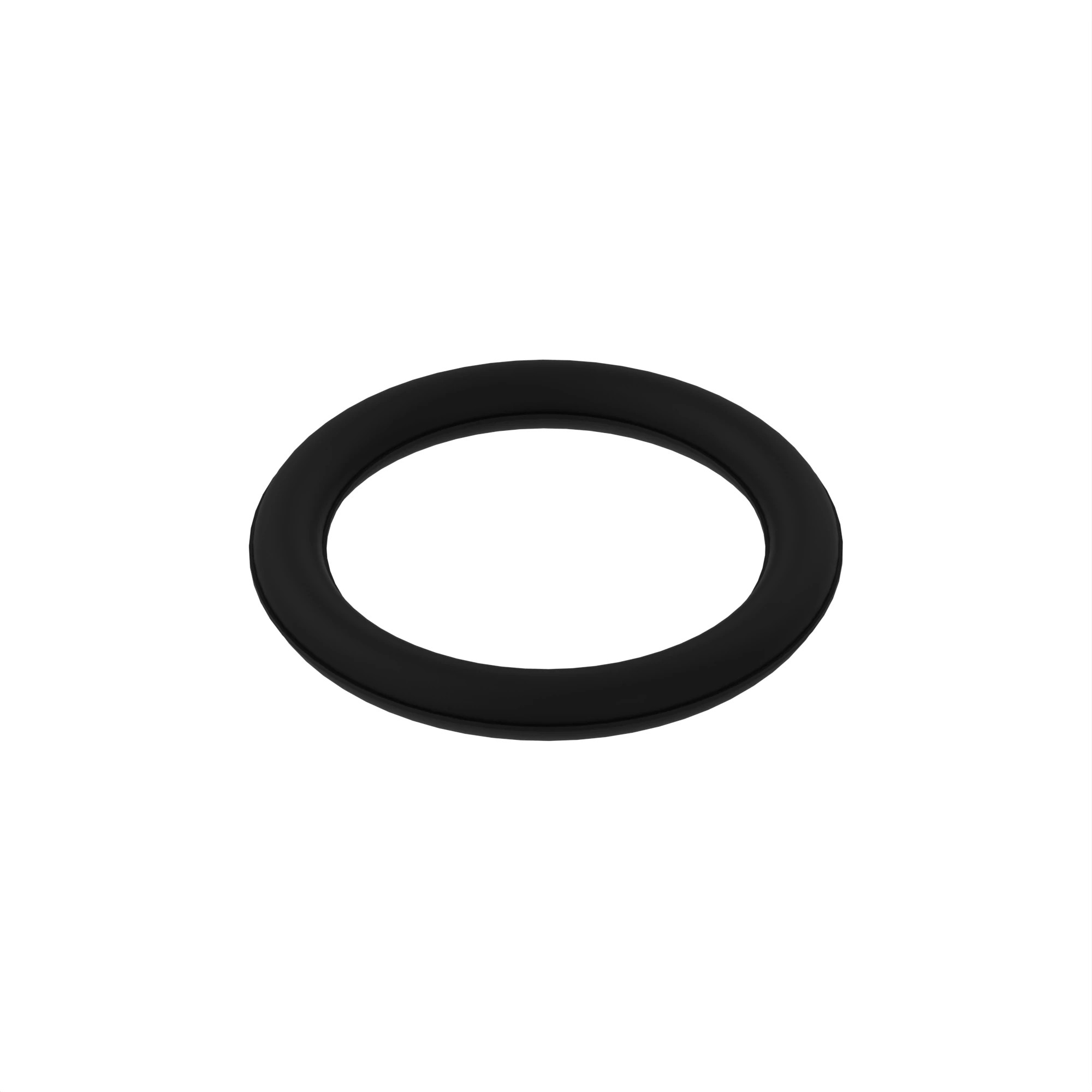 R76578: O-Ring