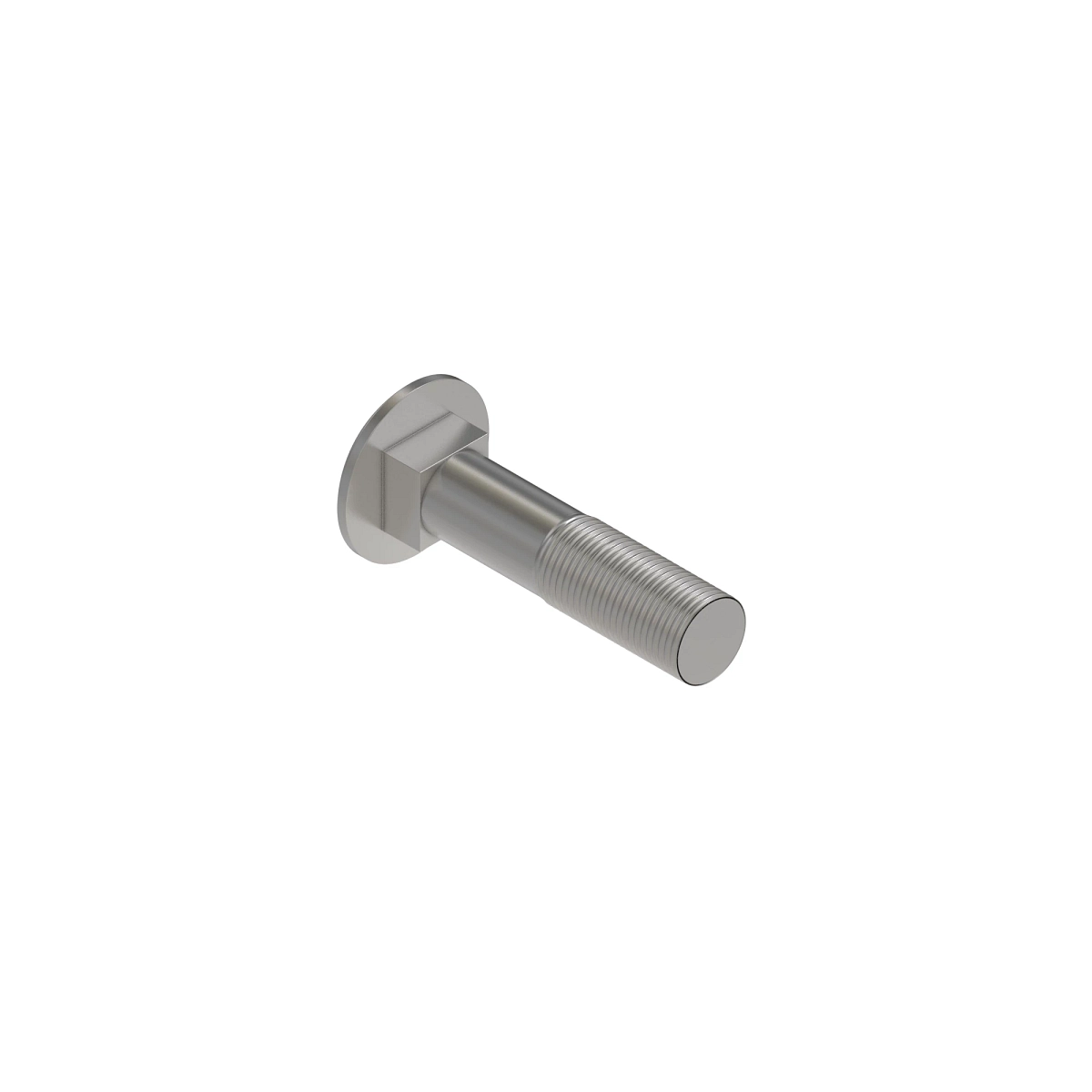 Bolt, Round Head Square Neck