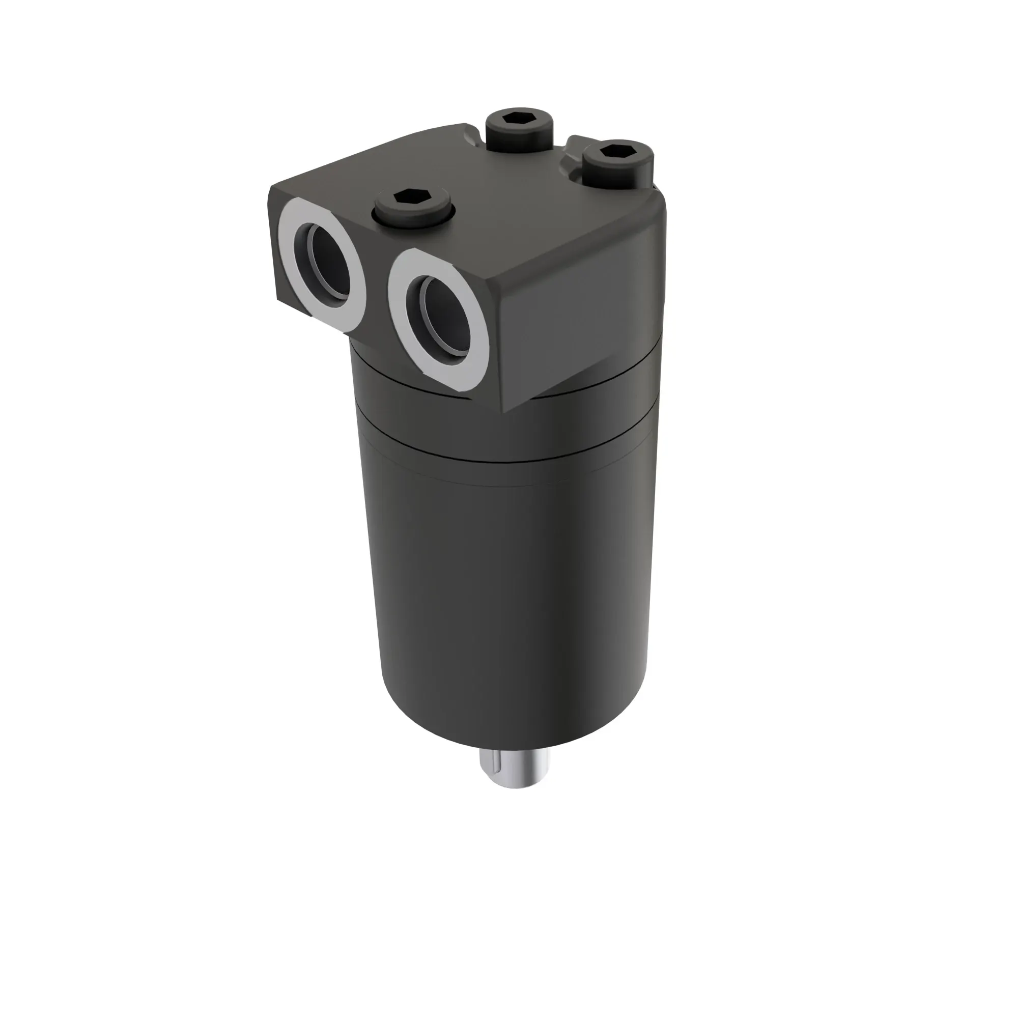 Hydraulic Motor