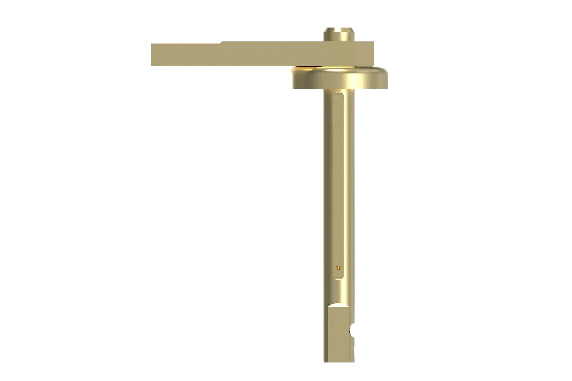 Arm