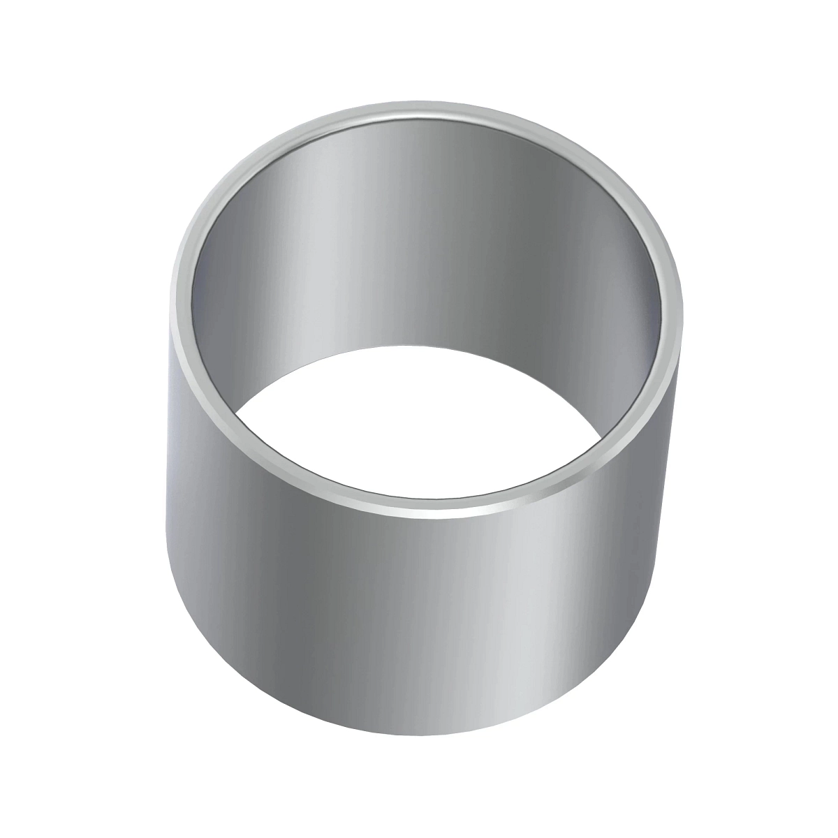 Bearing Race, Inner