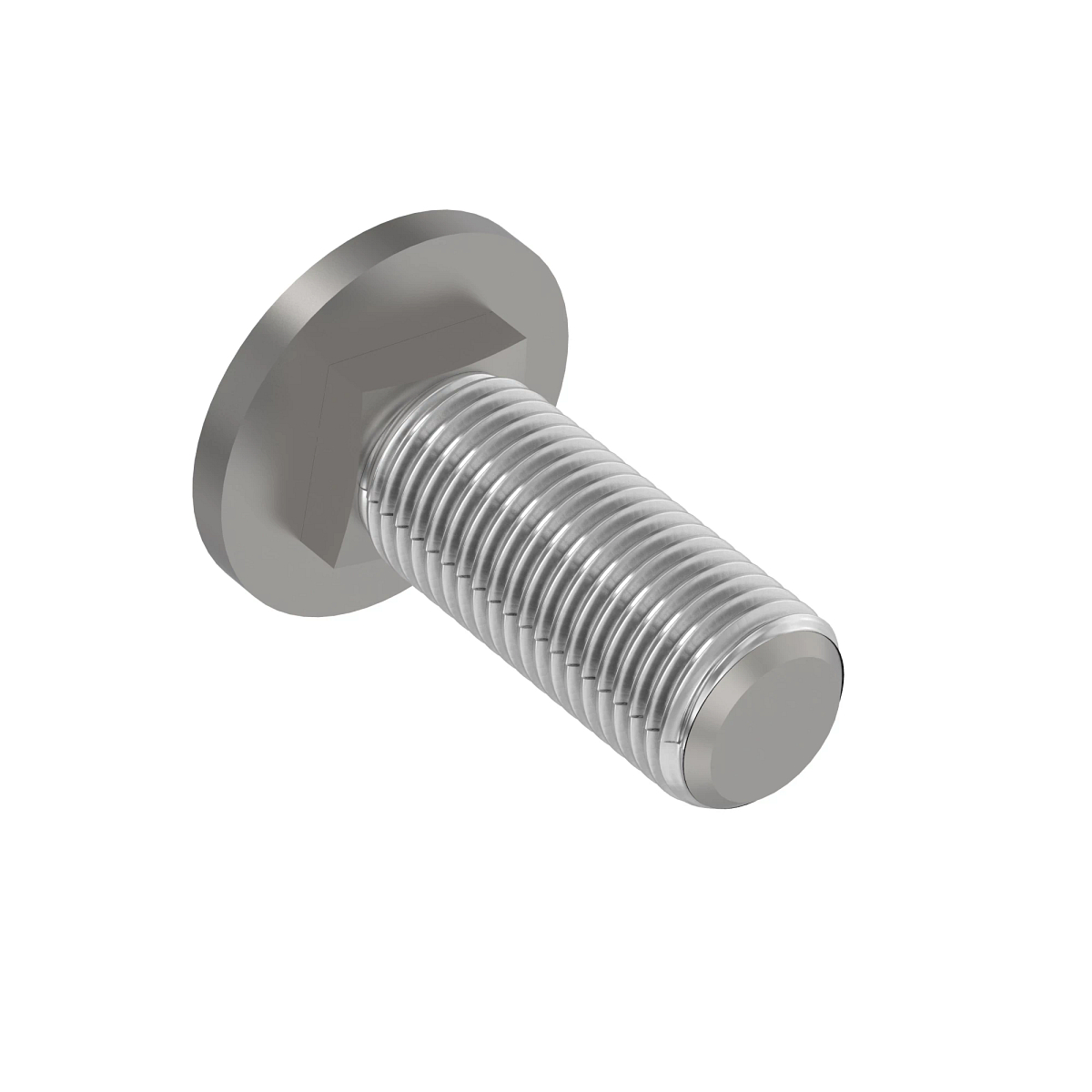 BOLT, CUP HEAD SQUARE NECK