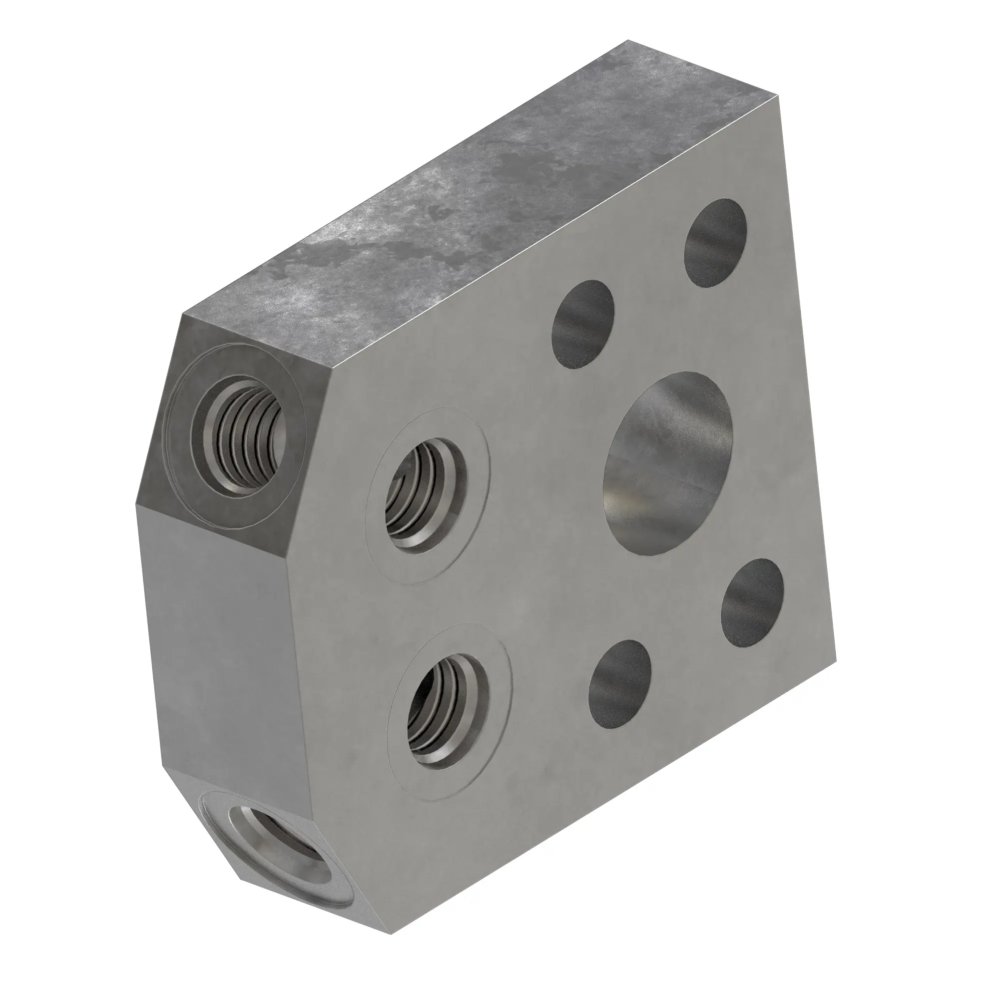 Manifold