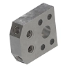 Manifold