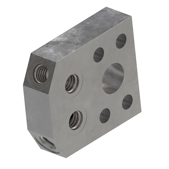 Manifold