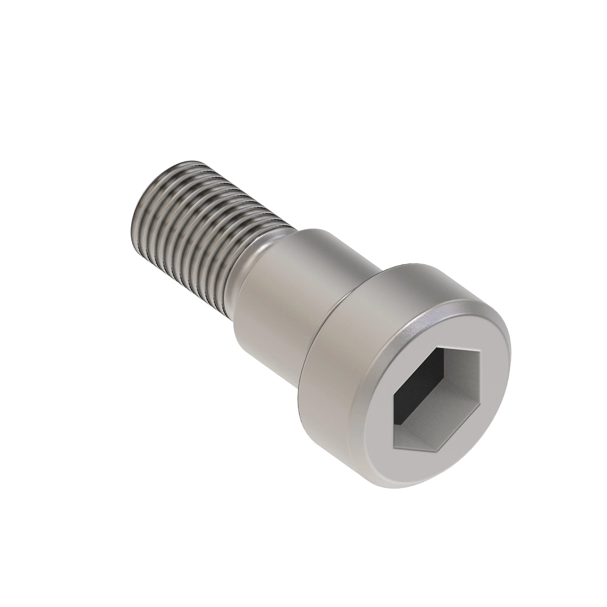 Socket Head Screw, Shoulder