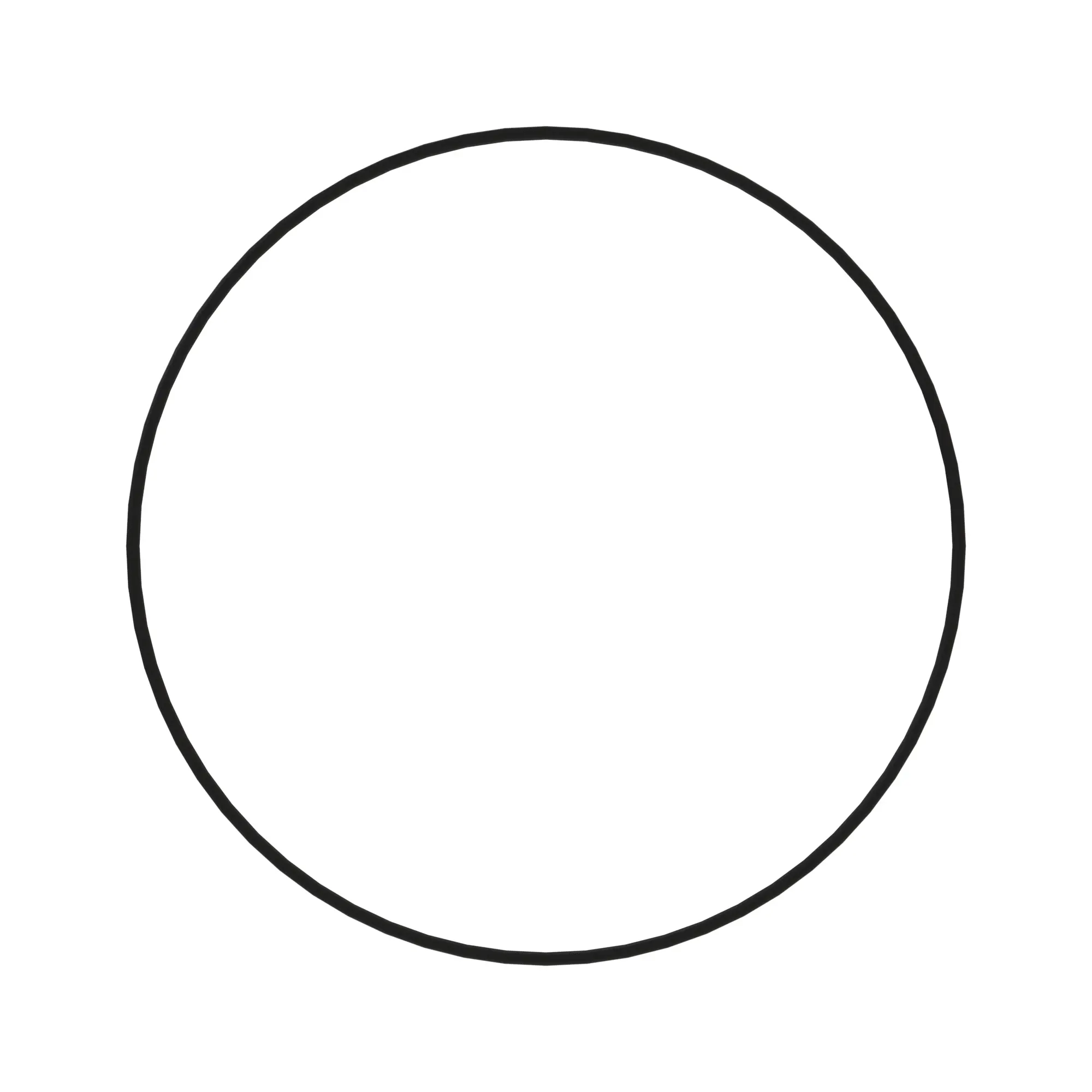 o-ring