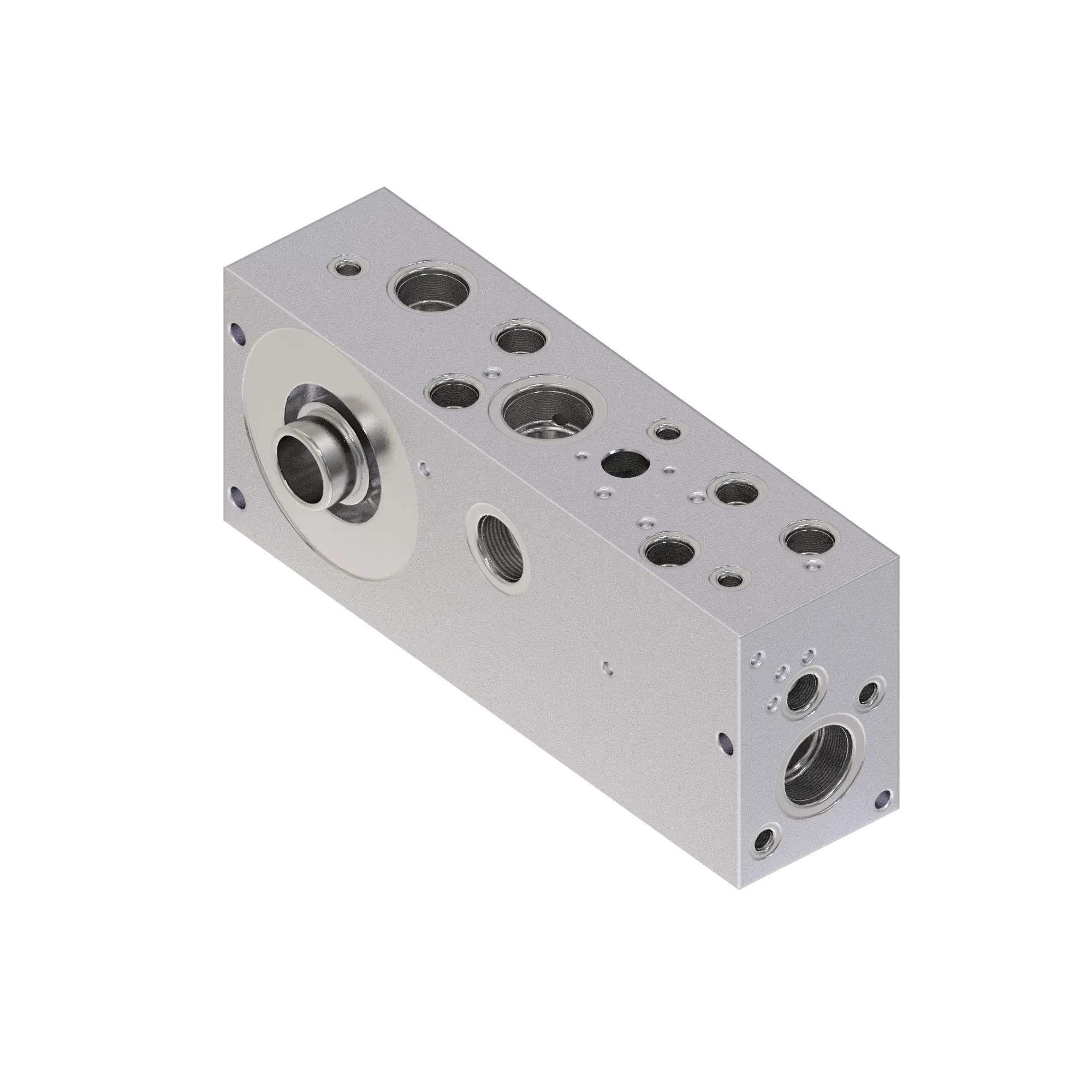 manifold