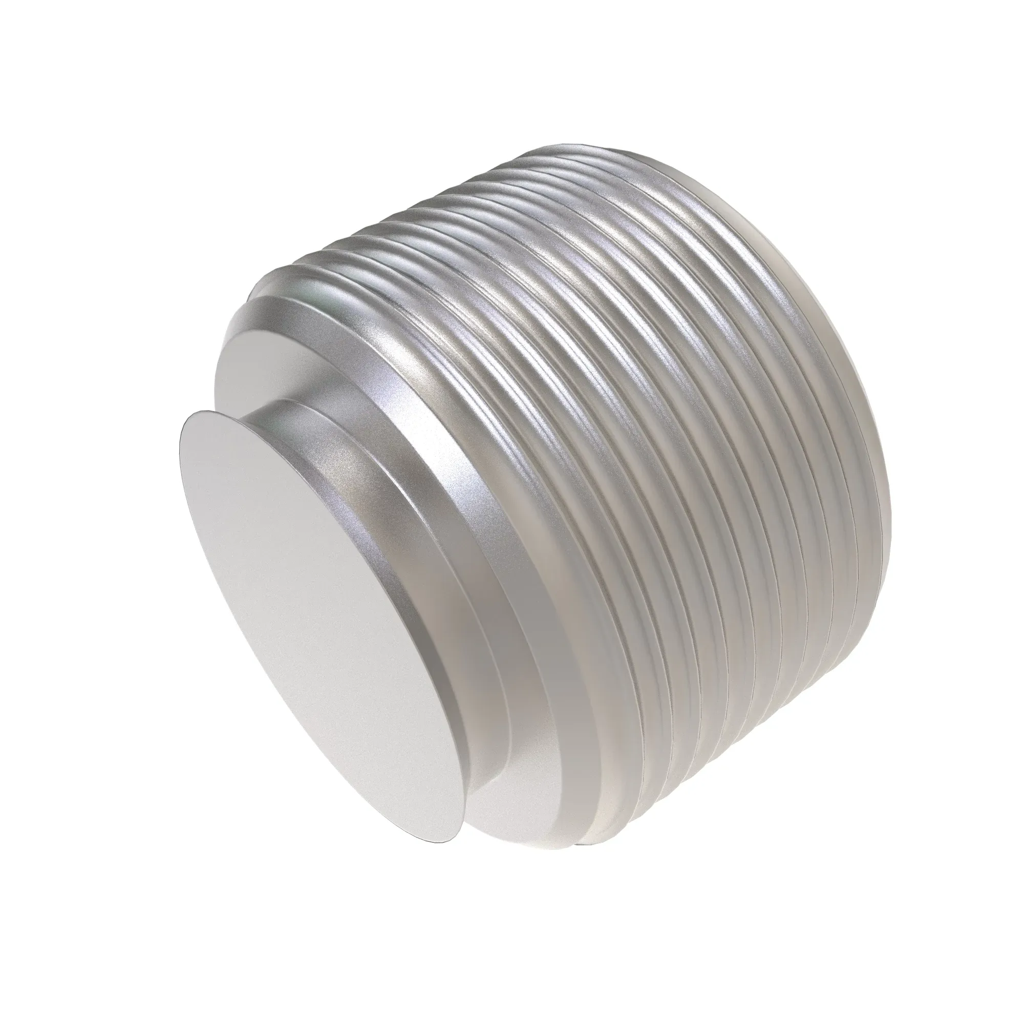 Check Valve