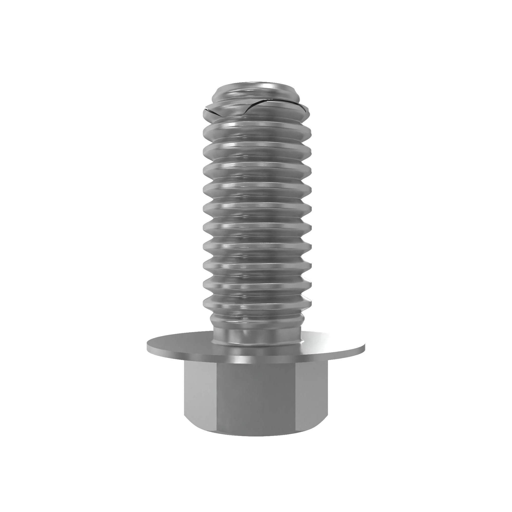 Screw With Washer