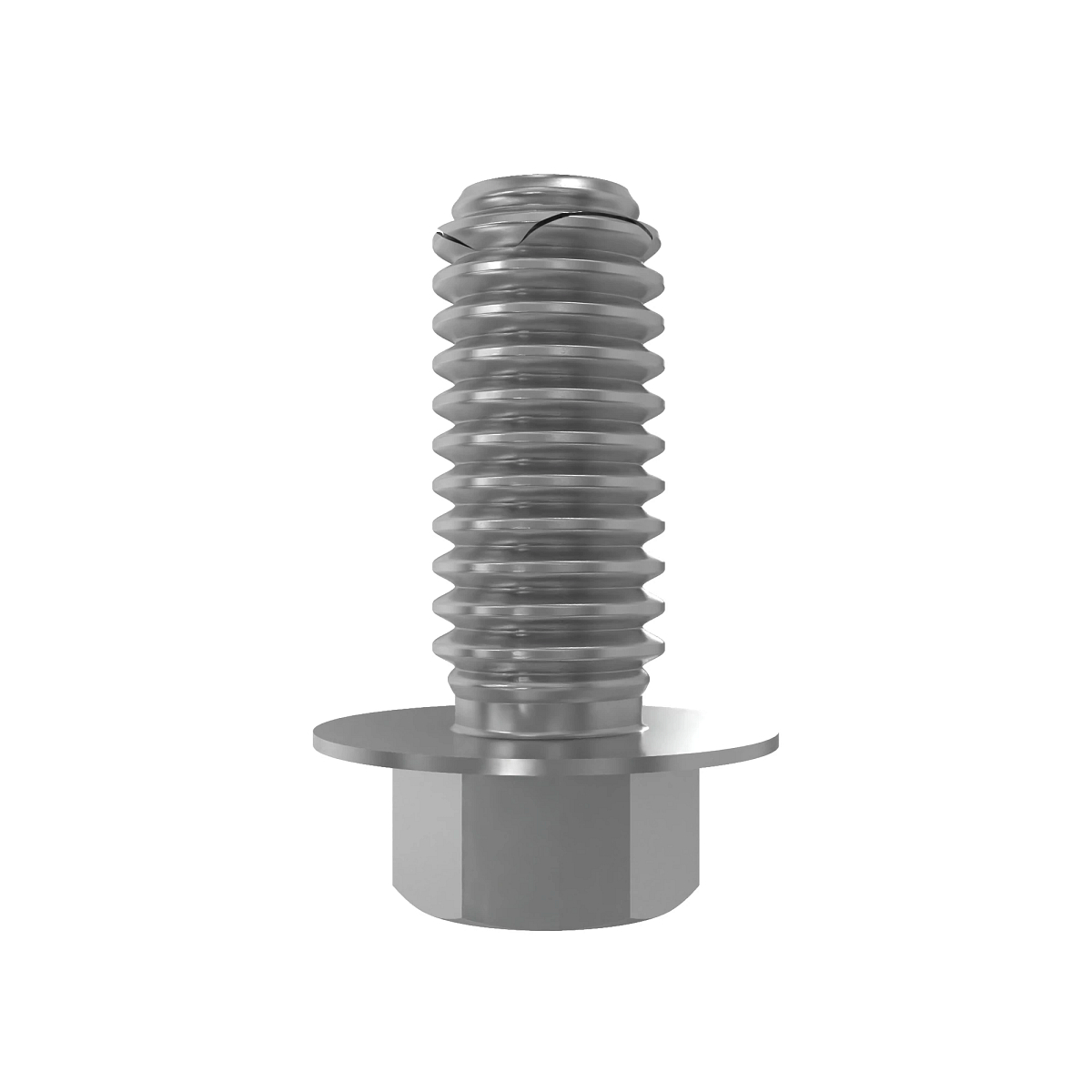 Screw With Washer