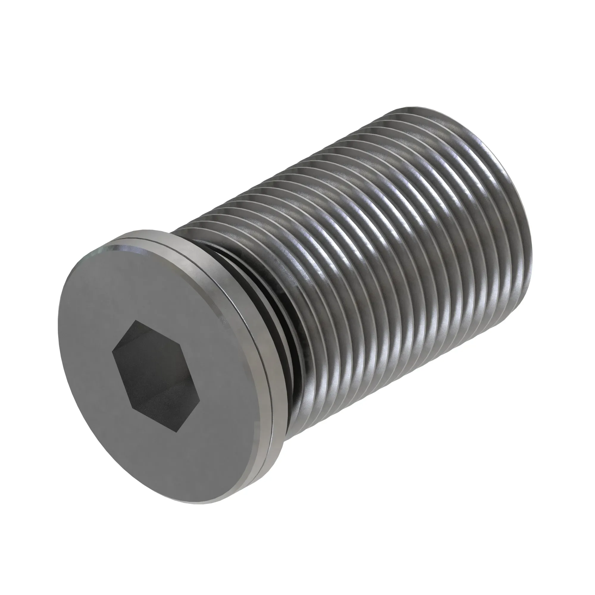 Fitting Plug, Internal Hex, With O