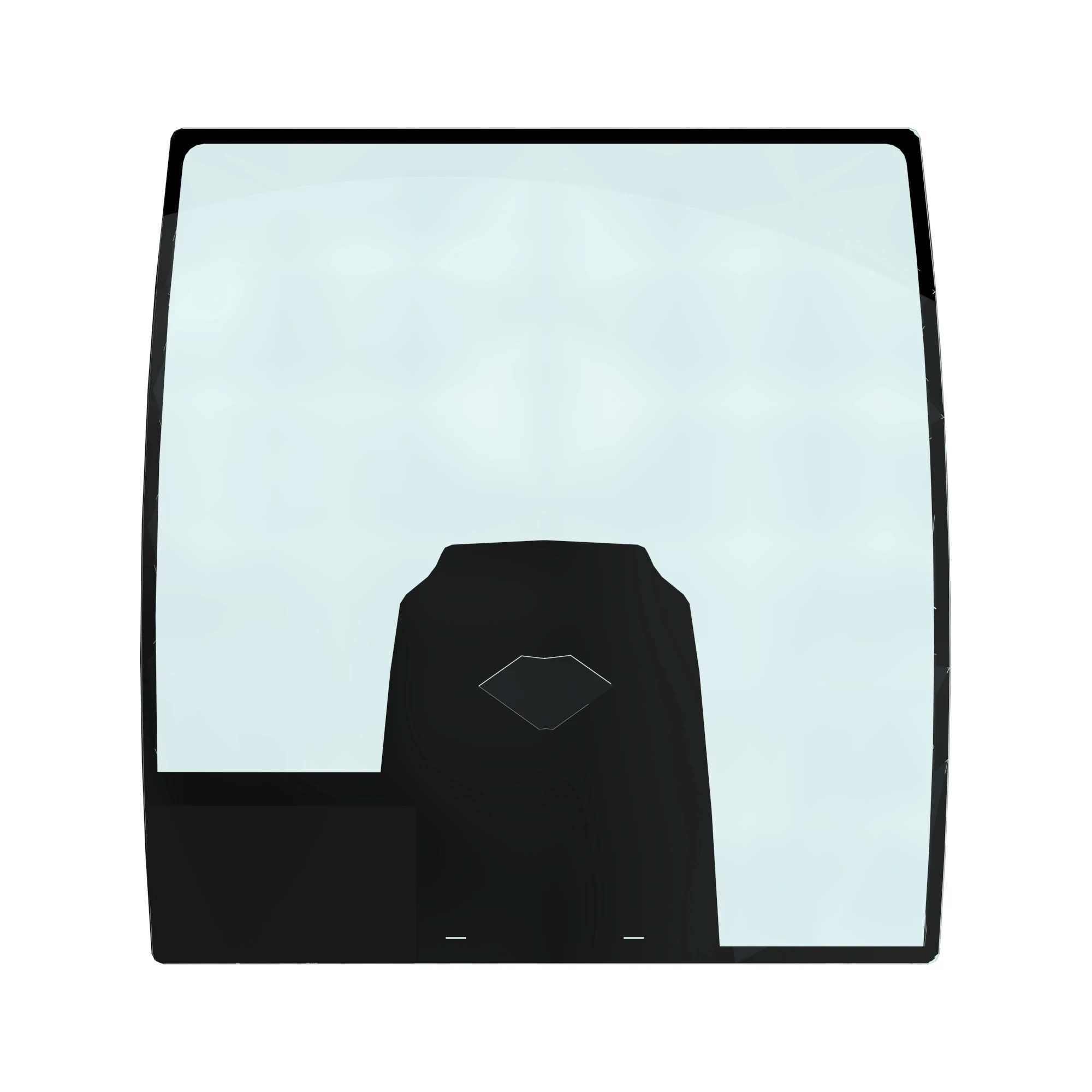 Windshield