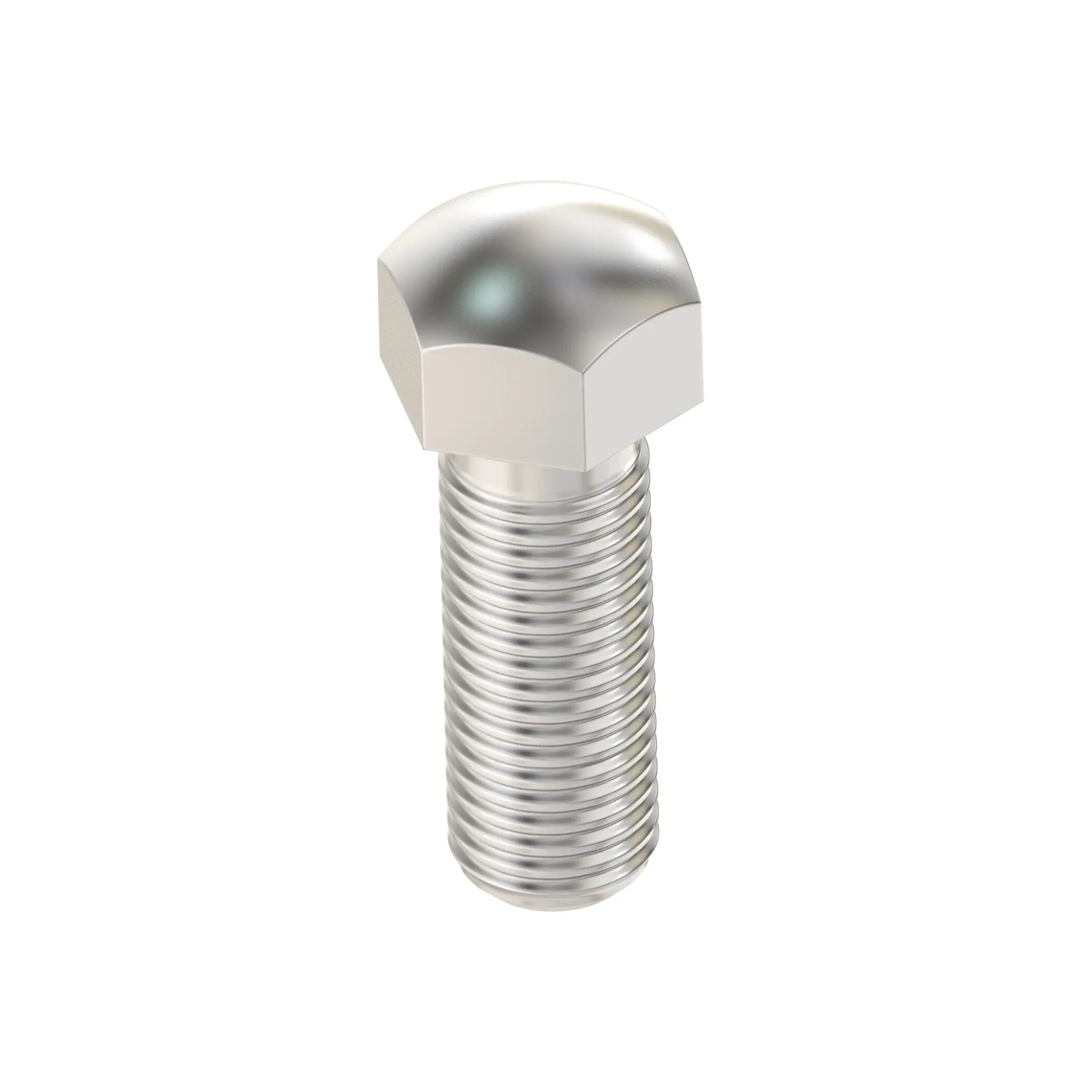 Track Bolt